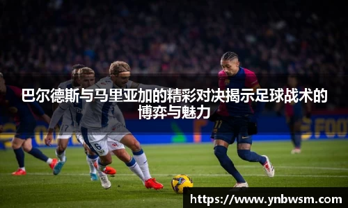 英国正版365官方网站