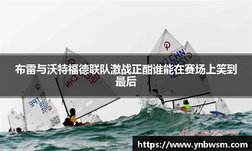 英国正版365官方网站